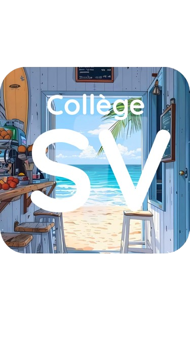 Logo Collège Simone Veil